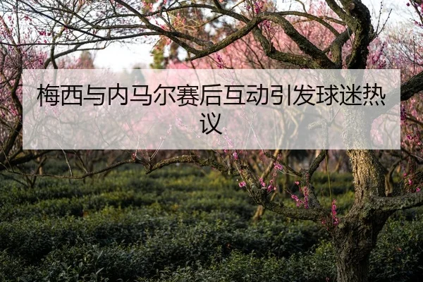 梅西与内马尔赛后互动引发球迷热议